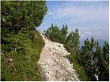 Dom Planica - Ciprnik